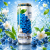 Arizona Blueberry White Tea Ľadový Čaj 650ml